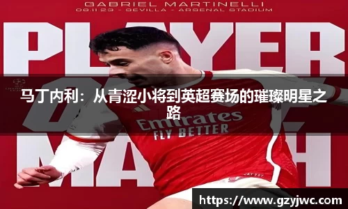 马丁内利：从青涩小将到英超赛场的璀璨明星之路
